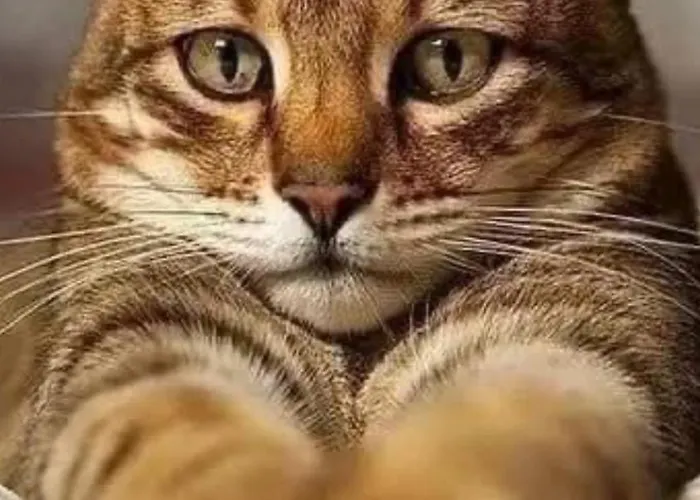 Aparthotel Platinumtowers Parking Warsaw